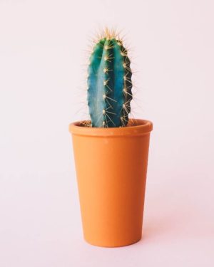 Ceramic Garden Pots