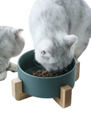 Premium Silicone Placemat for Cat Bowls