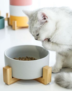 Food & Water Bowls