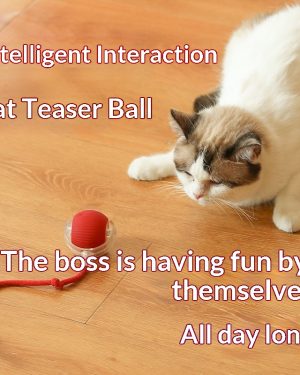 Interactive Cat Toy Ball – Self-Play Teaser with Rope for Indoor Cats