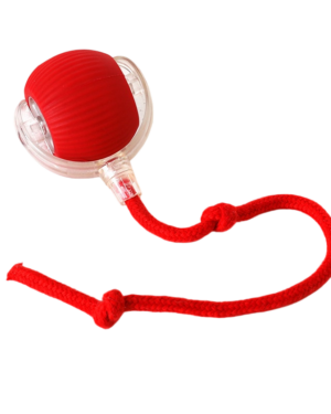 Interactive Cat Toy Ball