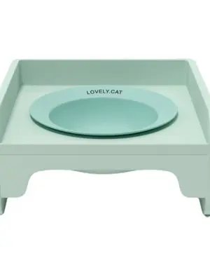 Square Ceramic Raised Cat Bowl Set
