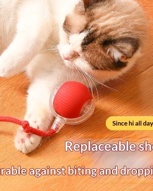 Colorful cat toy ball teaser toy for indoor cats
