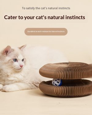 Cat Toys